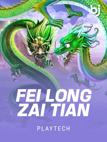 Fei Long Zai Tian